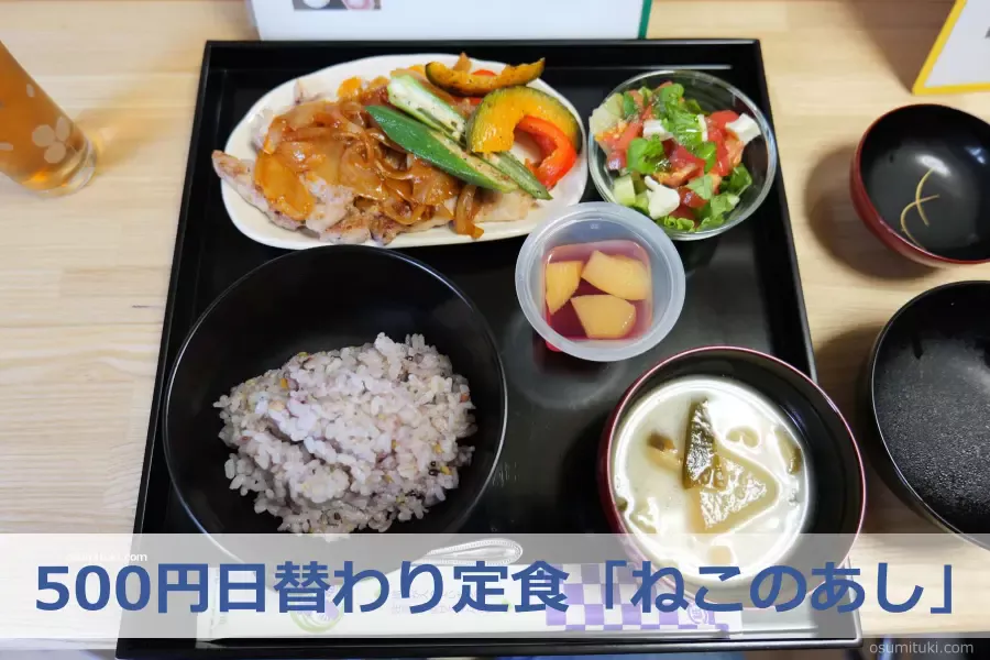 500円日替わり定食「ねこのあし（市原）」